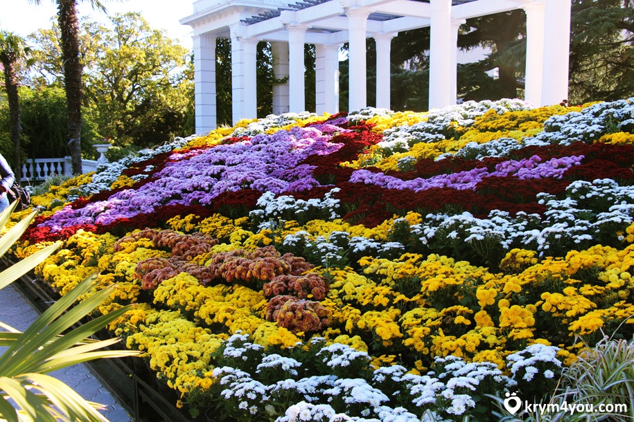 Никитский ботанический сад, Крым фото ротонда  