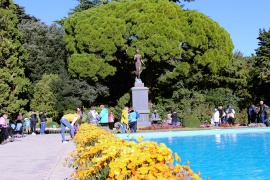 Никитский ботанический сад, Крым фото 