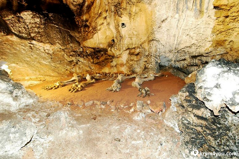 Мамонтовая (Эмине-Баир-Хосар) пещера 