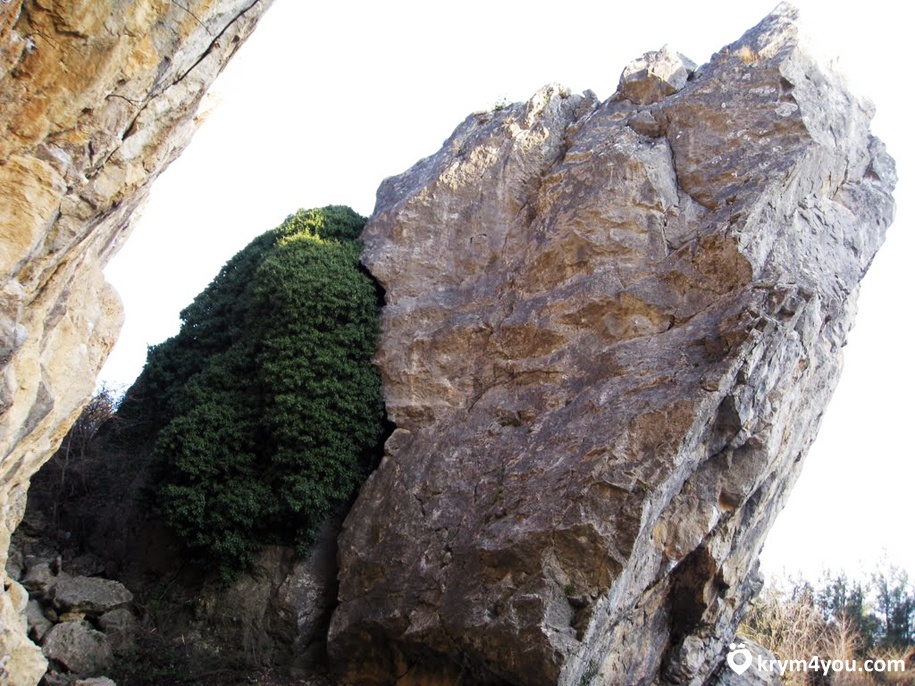 фото Никитская расщелина Крым вид 