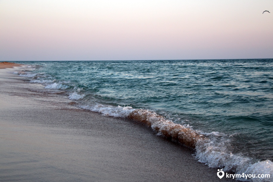 Заозерное Крым море пляж, береговая линия   