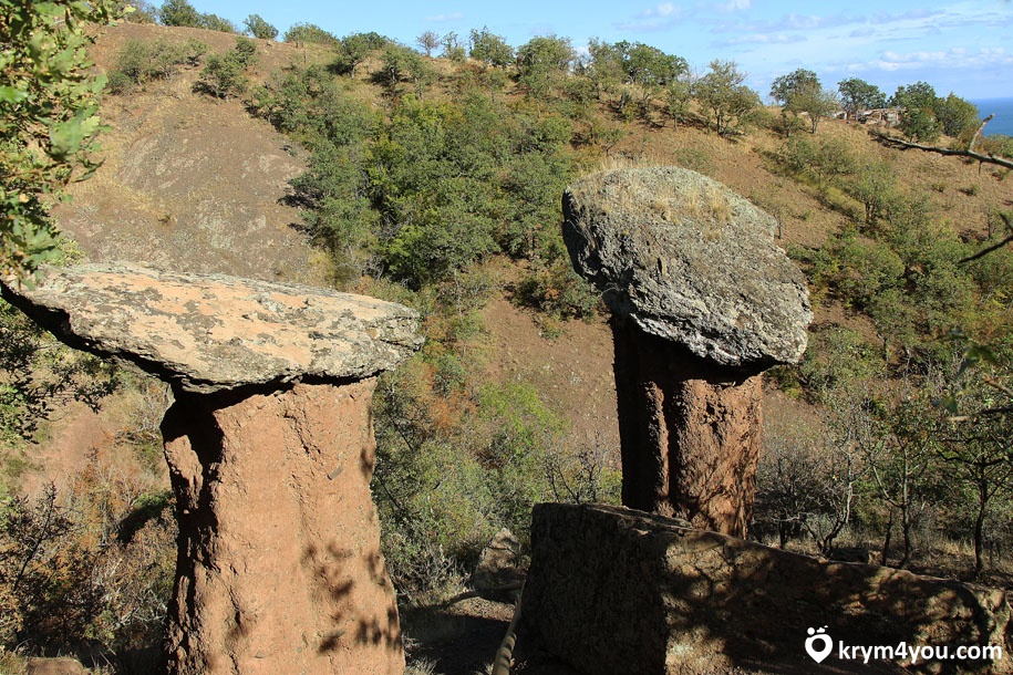 Каменные грибы Долина Сотеры Крым  