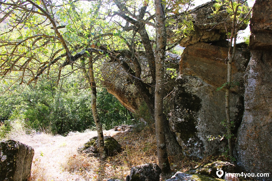 Водопад Гейзер Крым, каменные Грибы, тропа по дороге  