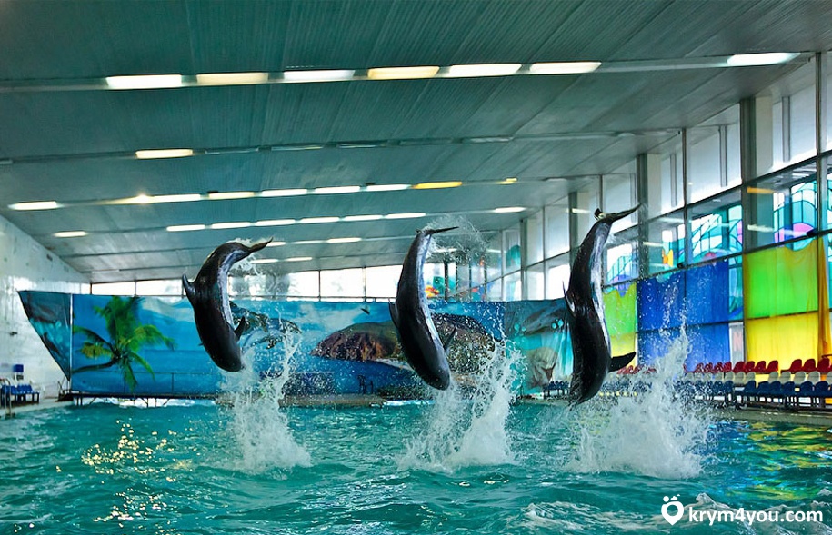 Партенитский дельфинарий Крым фото 4 