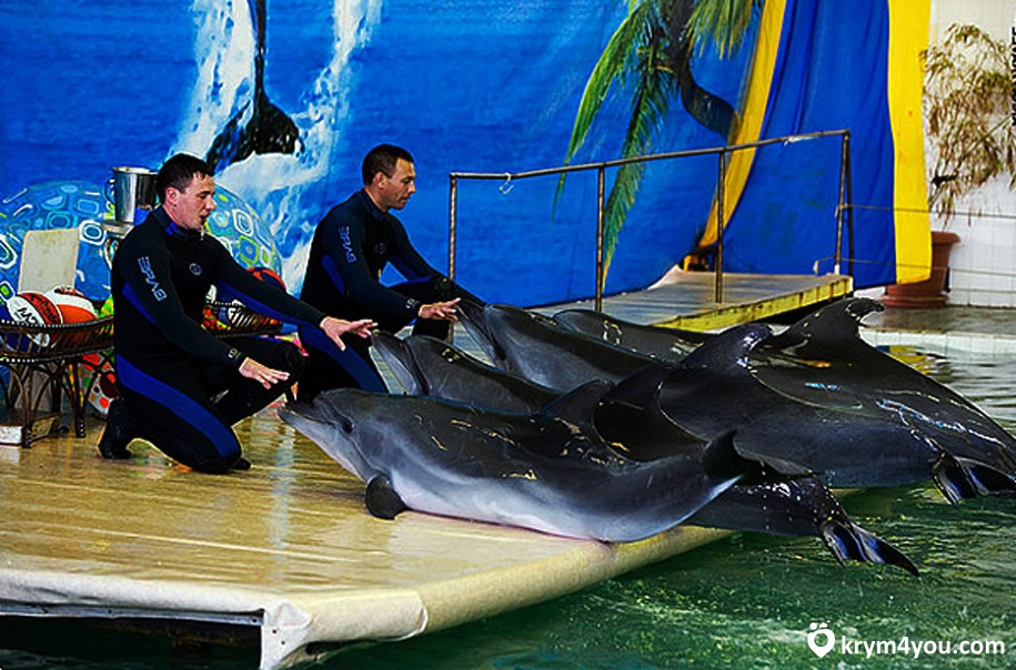 Партенитский дельфинарий Крым фото 1
