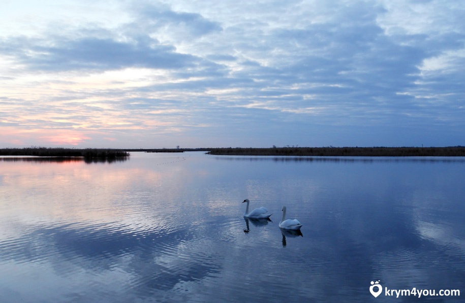 Айгульское озеро Крым фото 1 