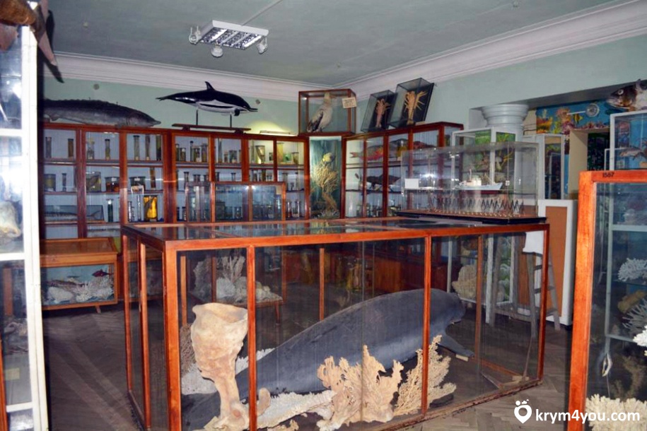 Музей океанографии и рыбного хозяйства 