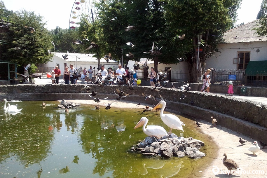 Симферопольский зоопарк 