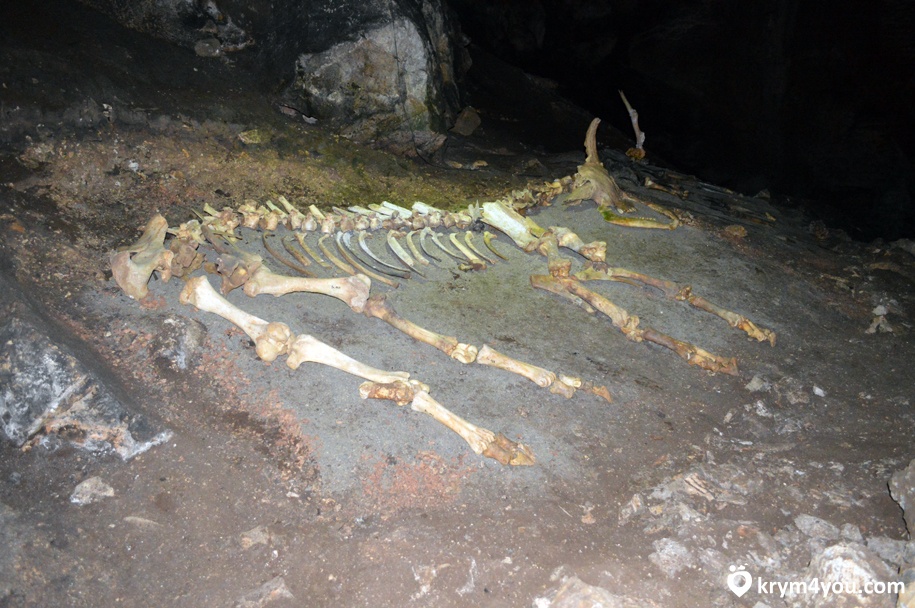 Эмине-Баир-Хосар (Мамонтовая пещера) Крым 