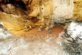 Мамонтовая (Эмине-Баир-Хосар) пещера