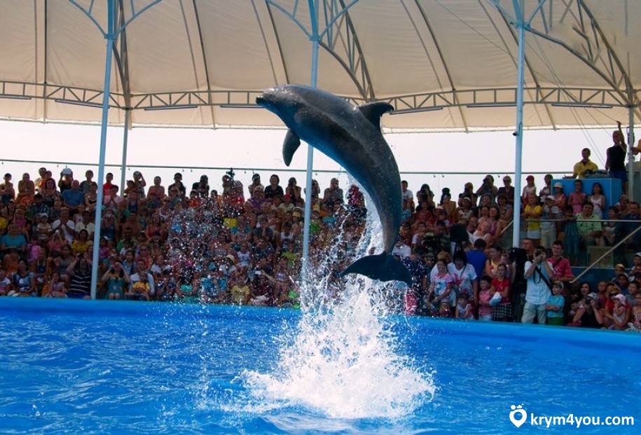 дильфинарии в Крыму