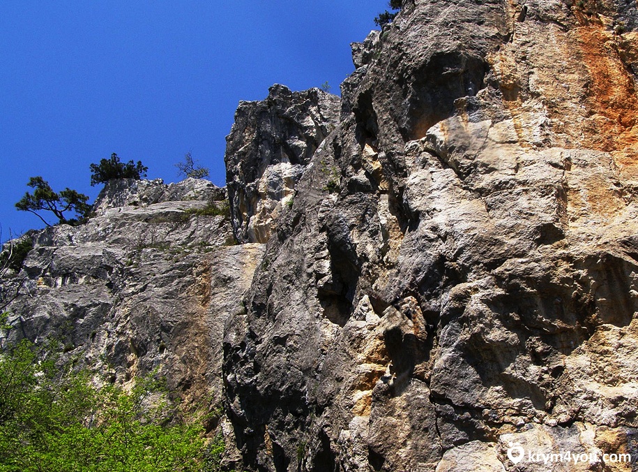 фото вид Никитская расщелина Крым  