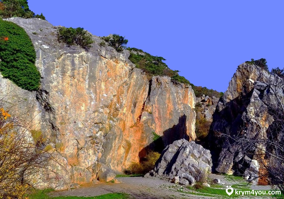 Никитская расщелина Крым фото вид 