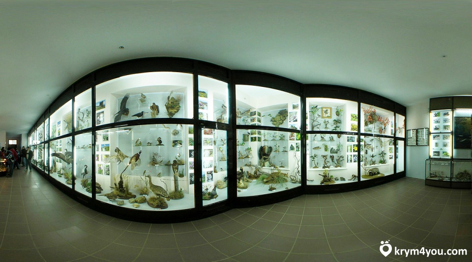 Музей природы Карадага 