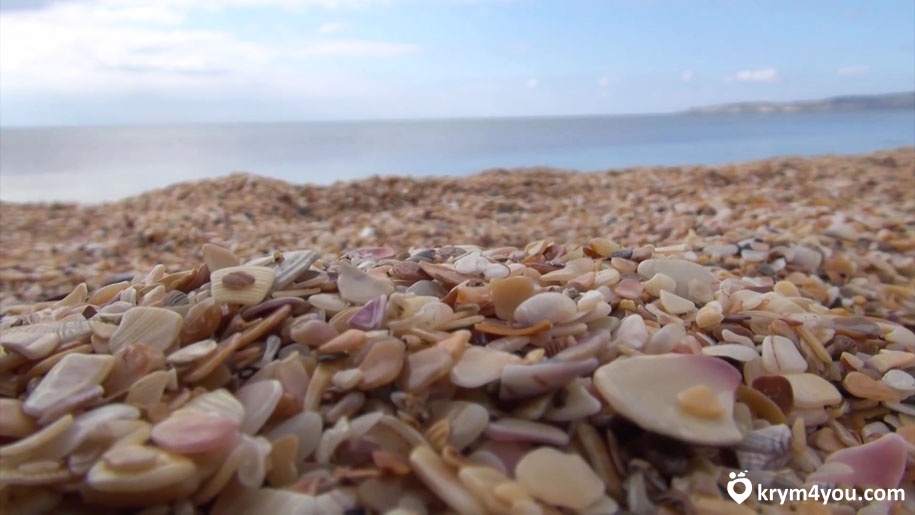 Береговое, Крым пляж море фото ракушняк 