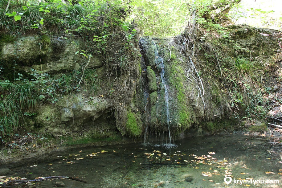 Каменные грибы Долина Сотеры водопад Крым 