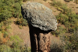 Каменные грибы 