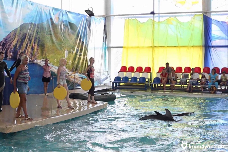 Партенитский дельфинарий Крым фото 3 