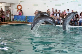 Партенитский дельфинарий