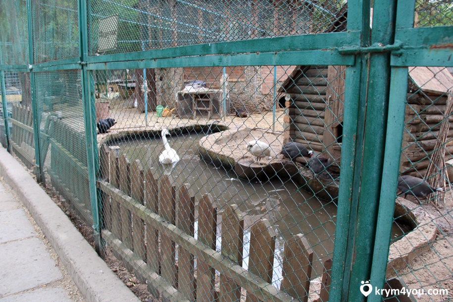 Евпаторийский зоопарк 